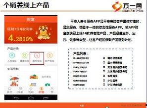 国产51页